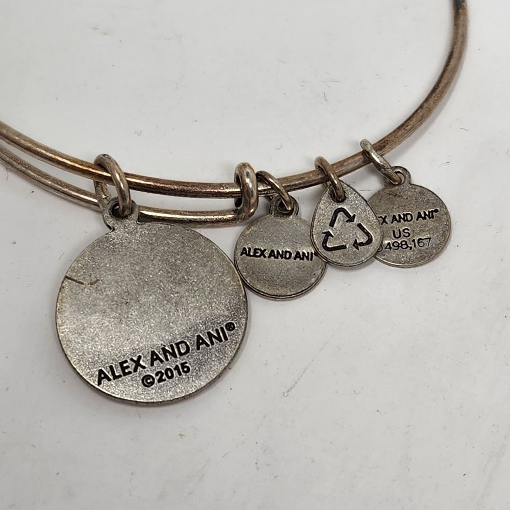 ALEX and ANI Las Vegas Bangle Bracelet Silver Tone - Picture 5 of 6